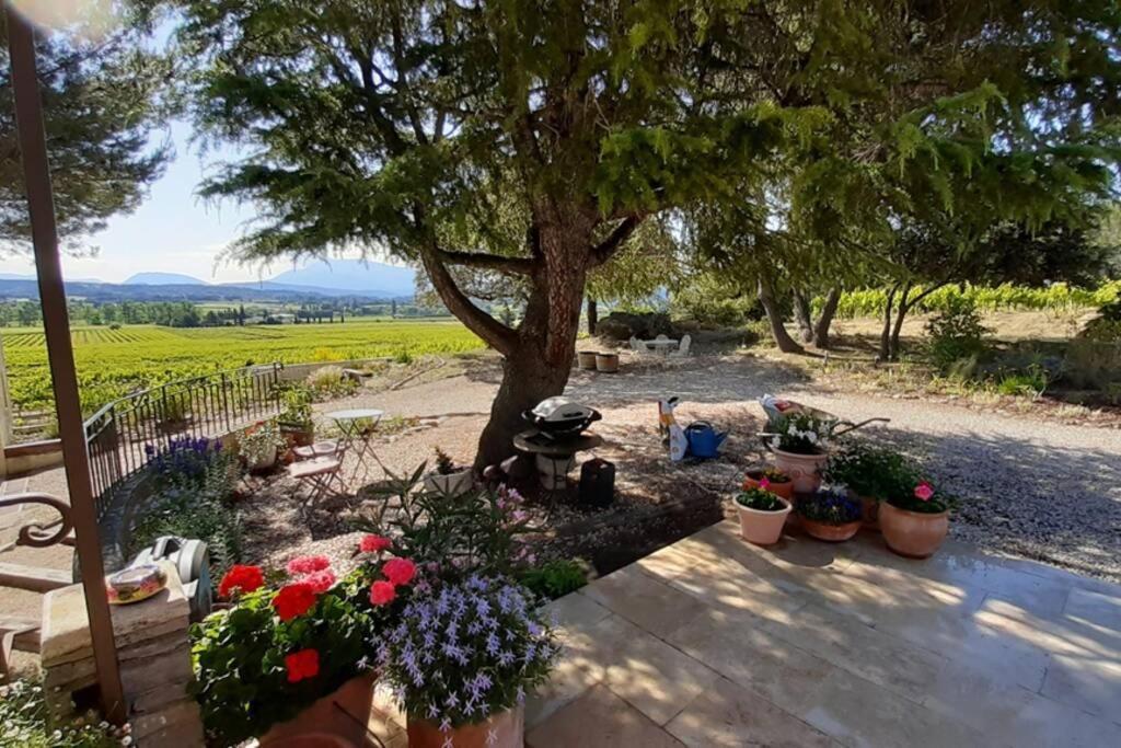 Le Clos Des Pins, Vue Mont Ventoux Roaix Buitenkant foto